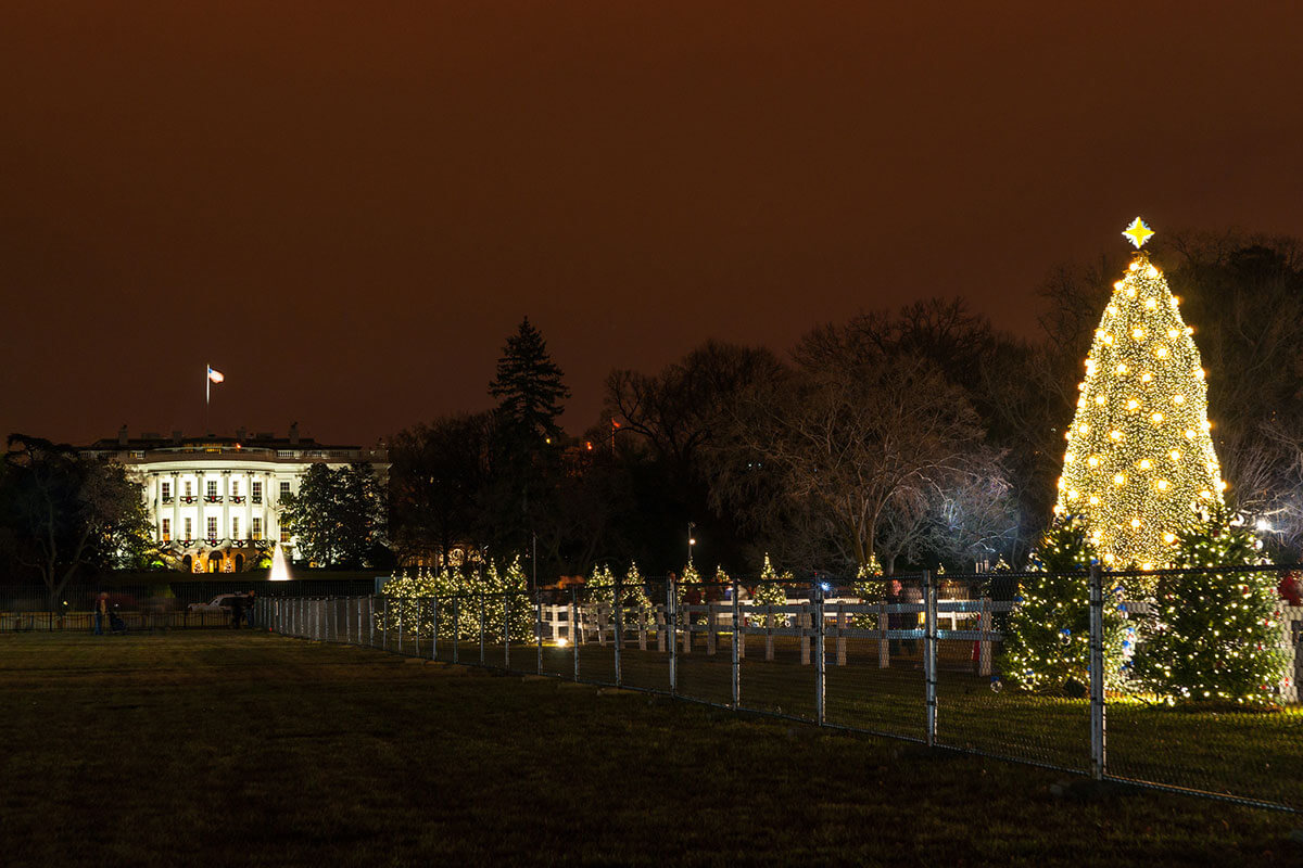 Nat'l Christmas Tree Lighting Ceremony 2024 Kensington Natural Smiles